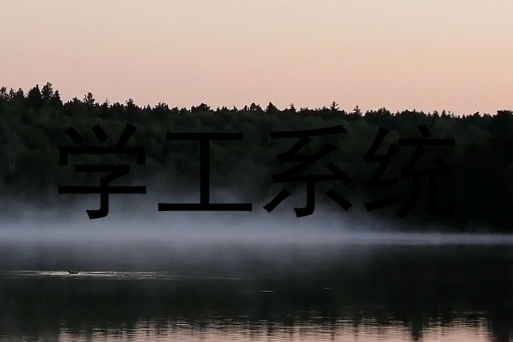 学工系统