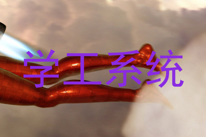 学工系统
