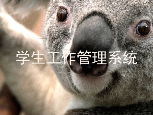 学生工作管理系统