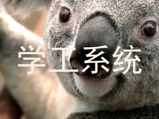 学工系统
