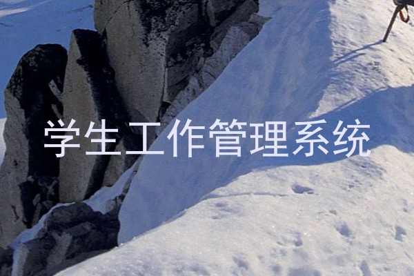 学生工作管理系统