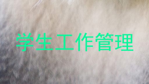 学生工作管理