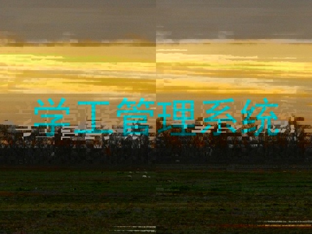 学工管理系统