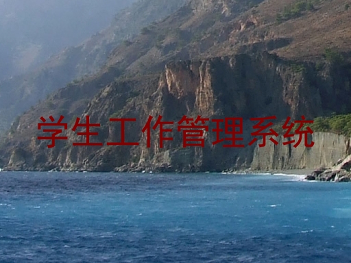 学生工作管理系统