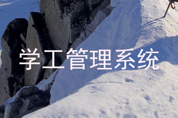 学工管理系统