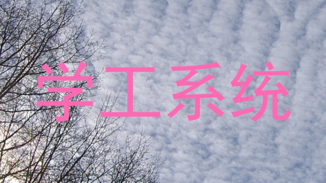 学工系统