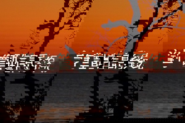 学生管理信息系统