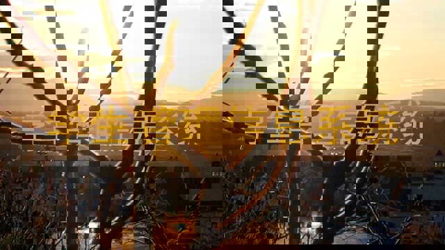 学生管理信息系统