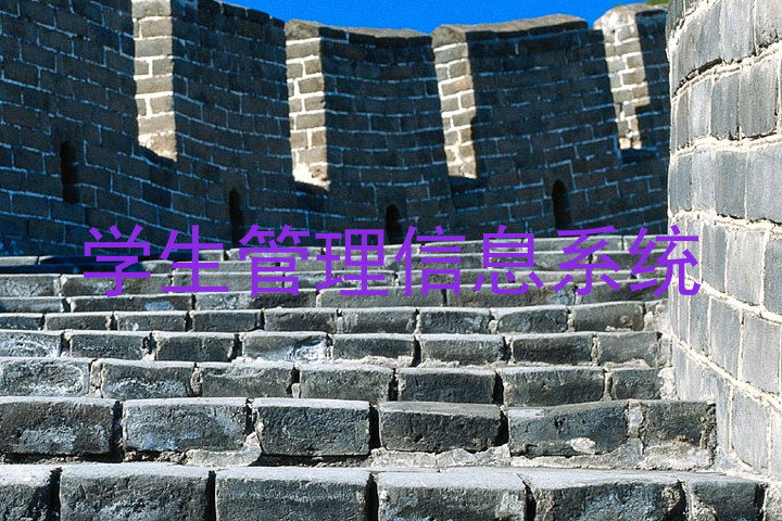 学生管理信息系统