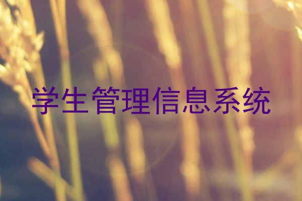 学生管理信息系统