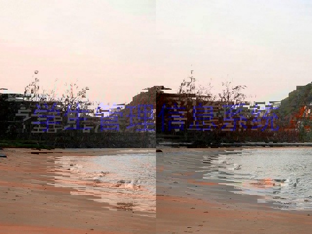 学生管理信息系统