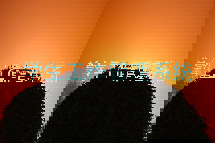 学生工作管理系统