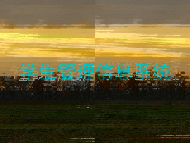 学生管理信息系统