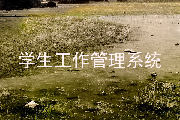 学生工作管理系统