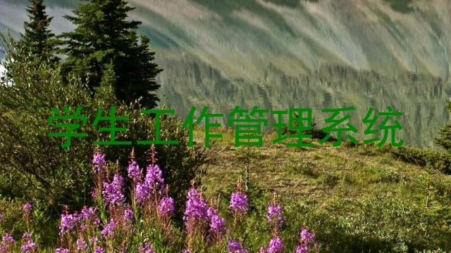 学生工作管理系统