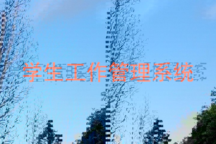 学生工作管理系统