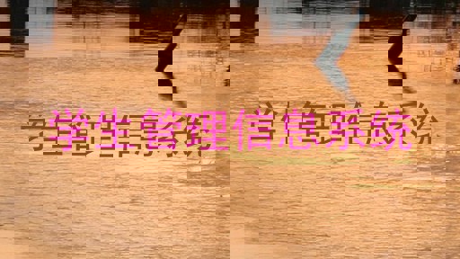 学生管理信息系统