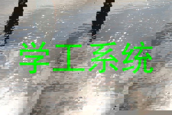 学工系统