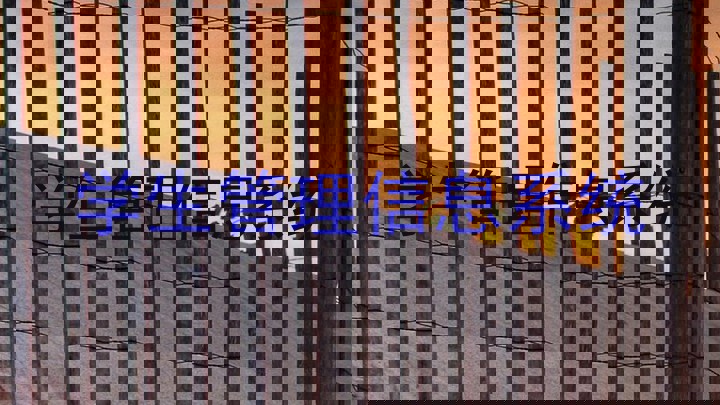 学生管理信息系统