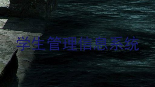 学生管理信息系统