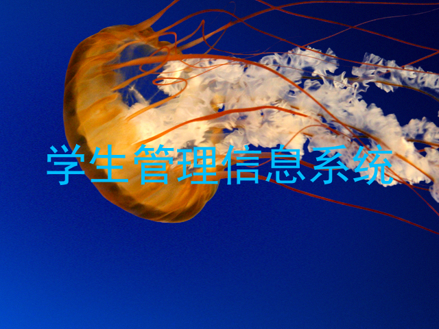 学生管理信息系统