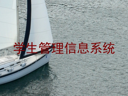 学生管理信息系统