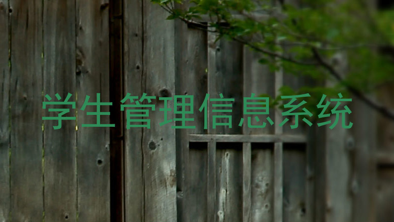 学生管理信息系统