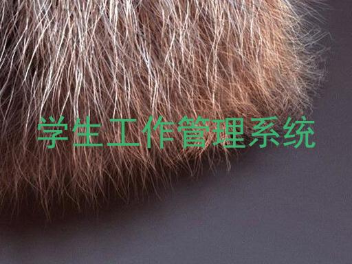 学生工作管理系统