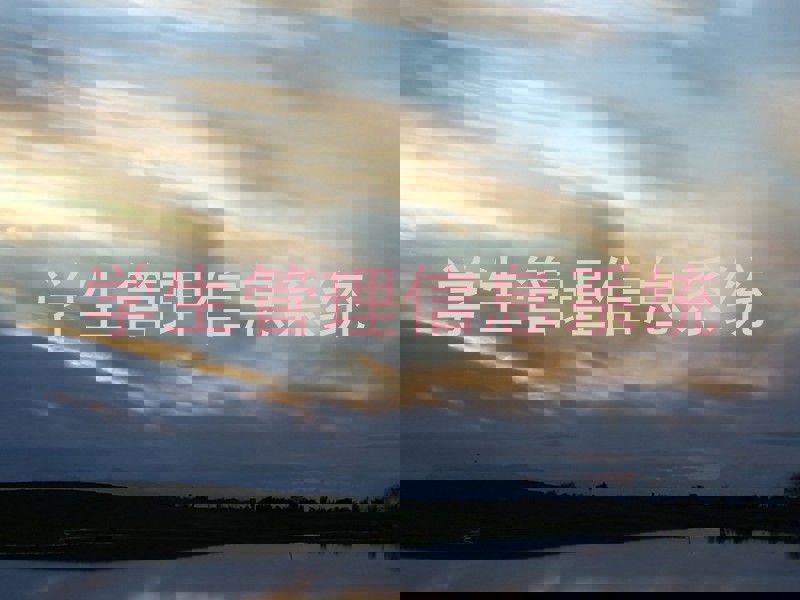 学生管理信息系统