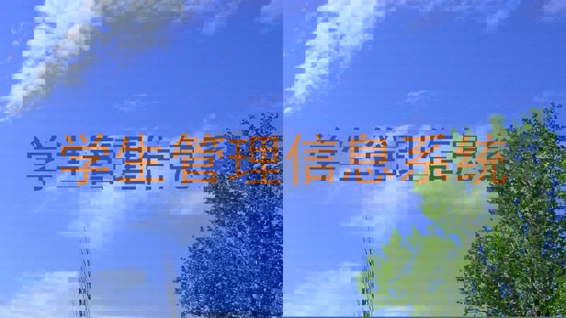 学生管理信息系统