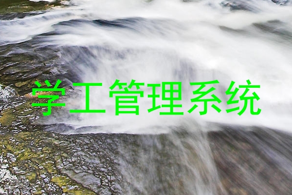学工管理系统
