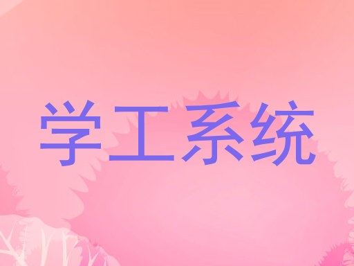 学工系统