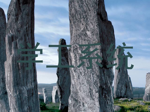 学工系统