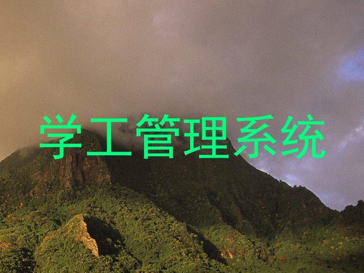 学工管理系统