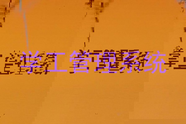 学工管理系统
