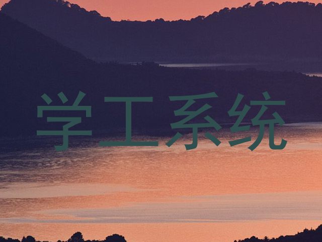 学工系统