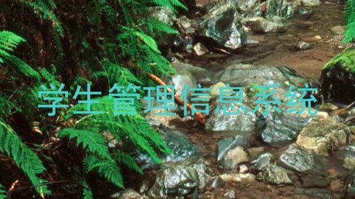 学生管理信息系统