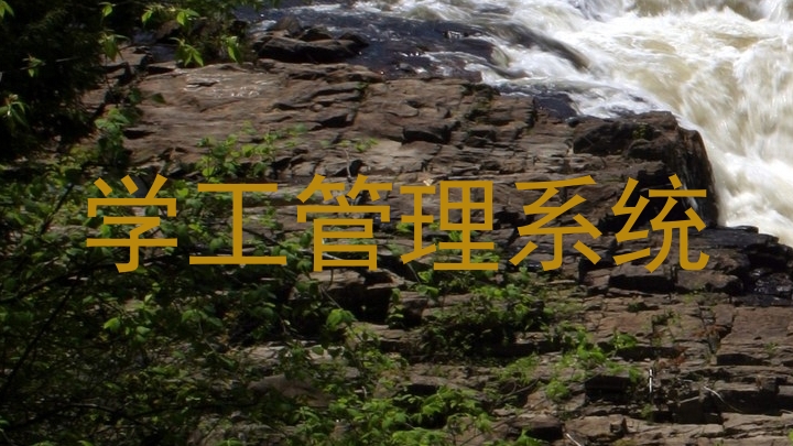 学工管理系统