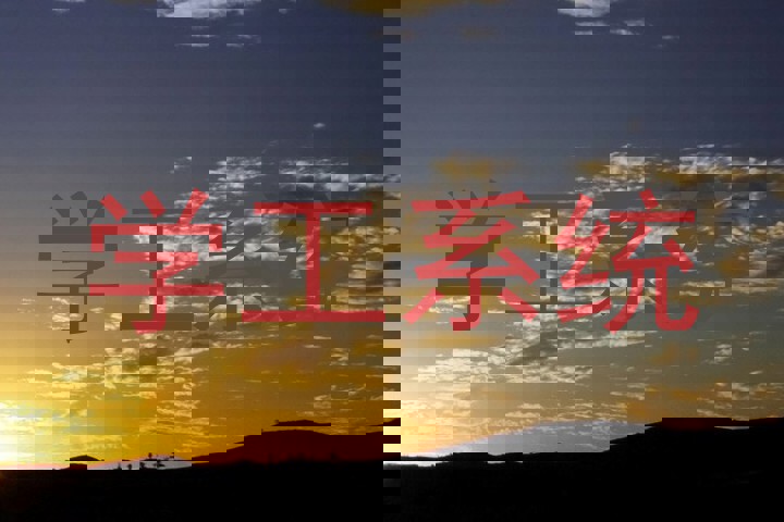 学工系统