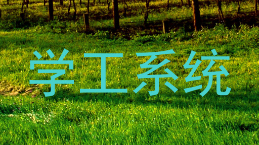 学工系统