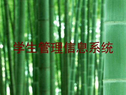 学生管理信息系统