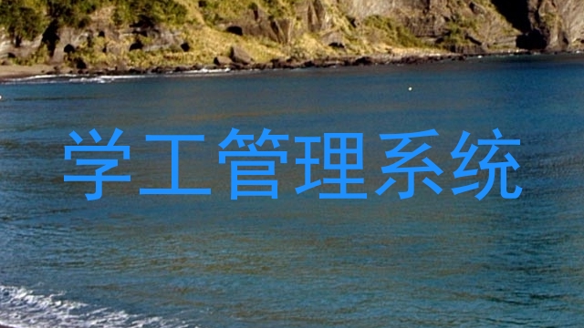 学工管理系统