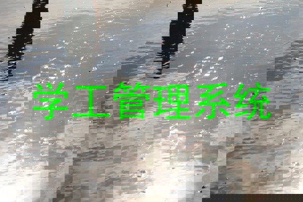 学工管理系统