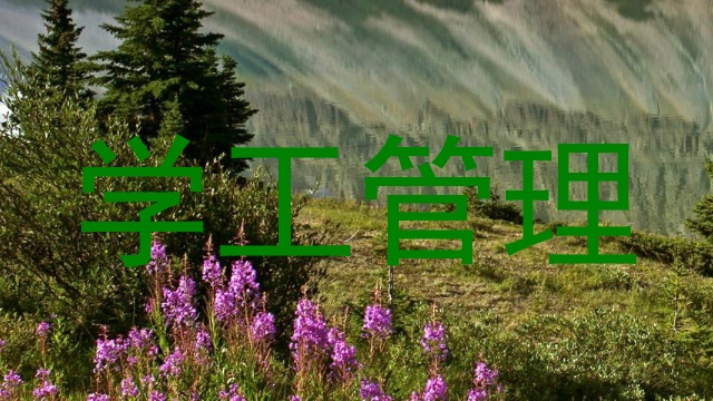 学工管理