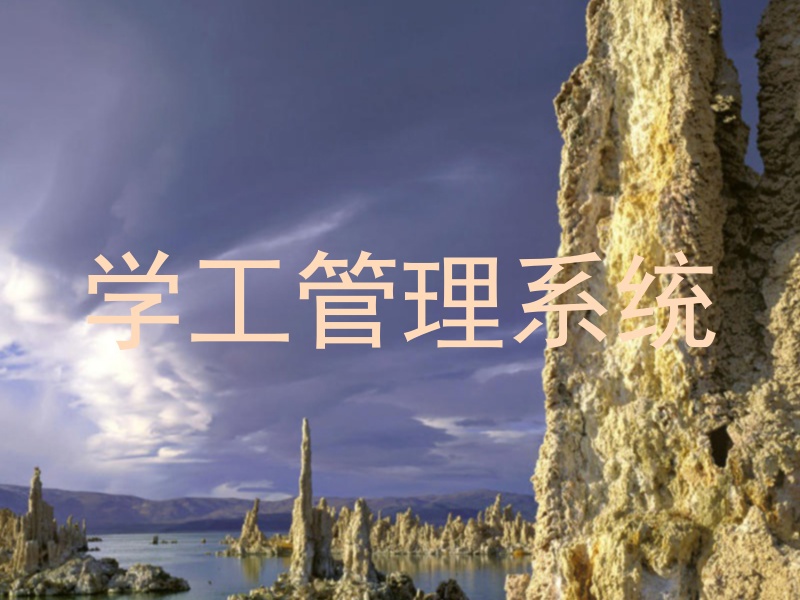 学工管理系统