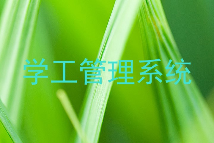 学工管理系统