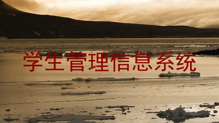 学生管理信息系统