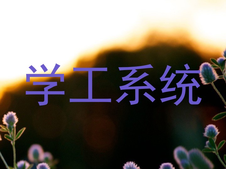 学工系统