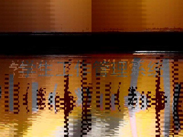 学生工作管理系统