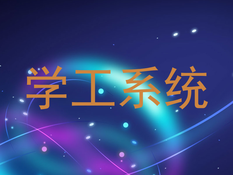 学工系统